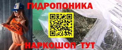 гашик Сланцы