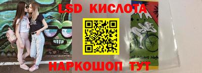 гашик Сланцы