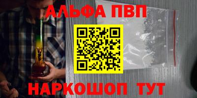 гашик Сланцы