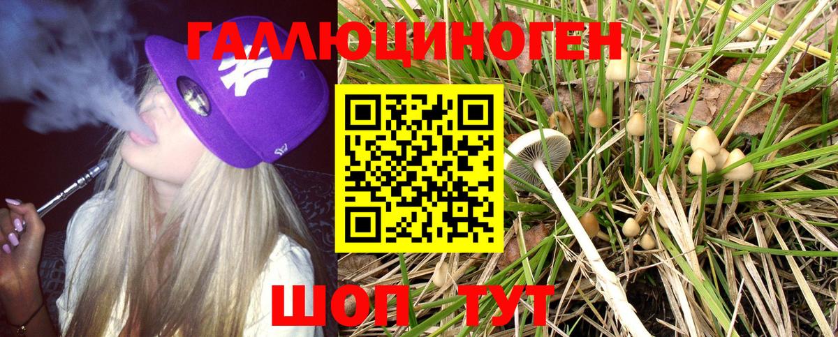 Псилоцибиновые грибы Psilocybe  Вход с VPN  Архангельск 